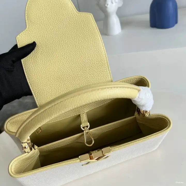2207YA0088 Bag LV 0810